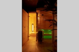 sauna-infrarot-dunkel-hoch-lowres